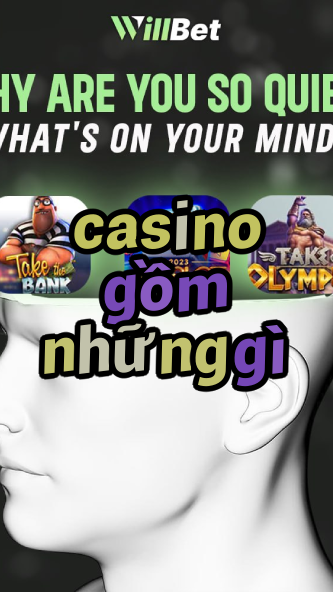 casino gồm những gì-igamblingorder.com